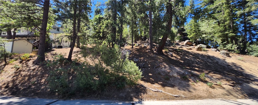 Have you been waiting for a fresh build opportunity in the prestigious Nordic Tract? Well now's your chance! This beautifully treed lot is located in the perfect location for year-round access and walking distance to Running Springs town and even the seasonal farmers market. You will also get a slight sense of seclusion with vacant lots attached to the right and back sides of the property. Optional building plans are available for negotiation. With short drives to Hwy 330, Green Valley Lake, Snow Valley, Sky Park, and Lake Arrowhead Village, you can enjoy so many mountain perks all year long. Come make it your today!