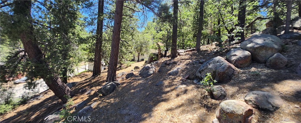 Nordic (NORD) - Land