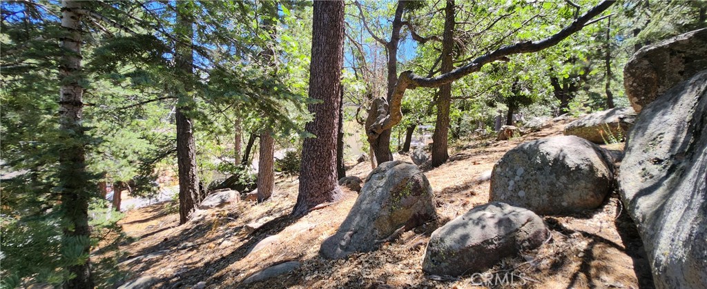 Nordic (NORD) - Land