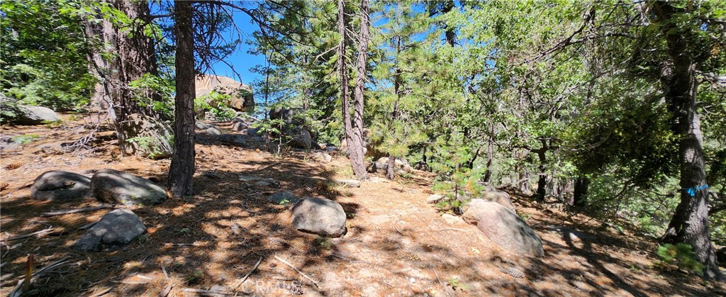 Nordic (NORD) - Land