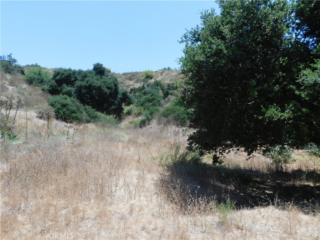 Photo 6 of 7 of 19272 Lambrose Canyon land