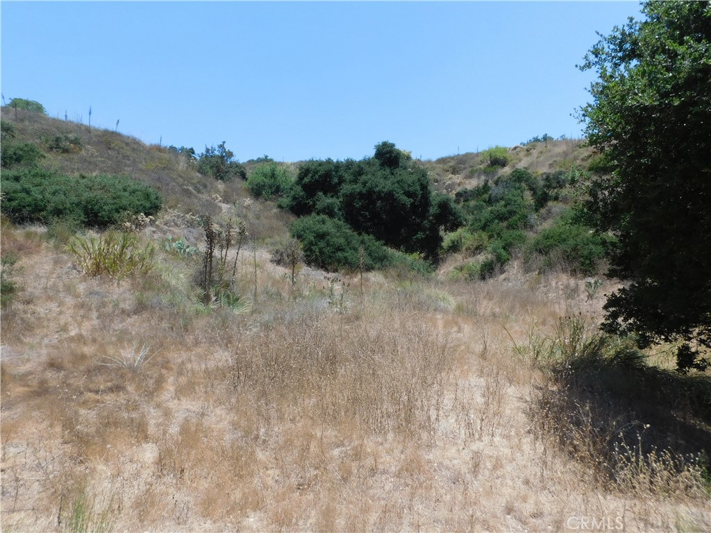 Photo 4 of 7 of 19272 Lambrose Canyon land