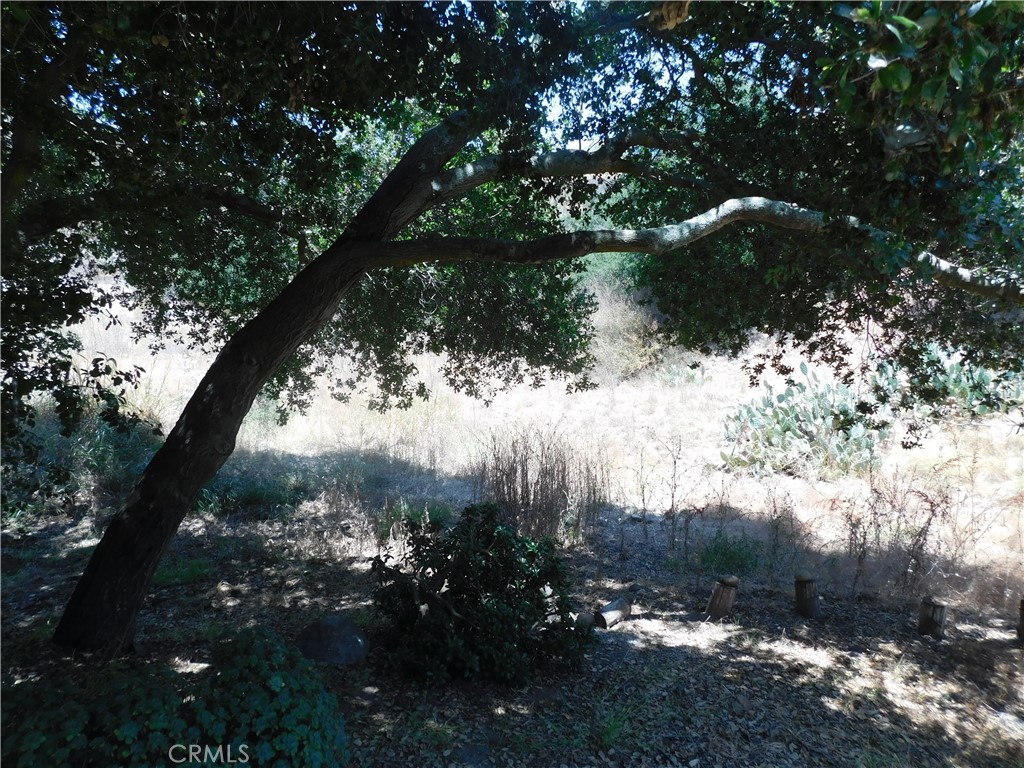 Photo 2 of 7 of 19272 Lambrose Canyon land