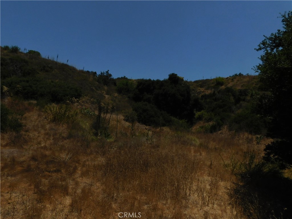 Photo 5 of 7 of 19272 Lambrose Canyon land