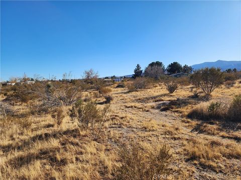 Photo of 0 Duncan Road, Phelan, CA 92371 (MLS # WS25076269) Photo of 0 Duncan Road, Phelan, CA 92371 (MLS # WS25076269)