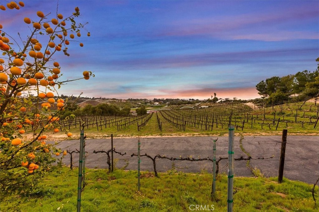 38330 De Portola Road