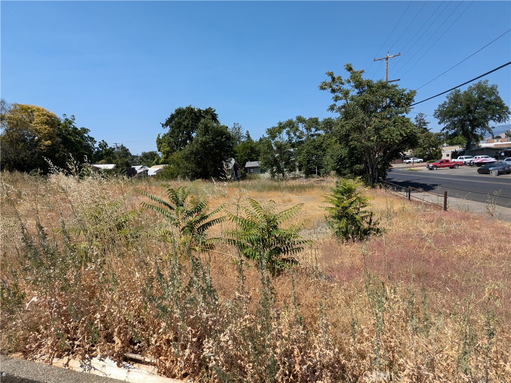 Great Location! One block from Downtown Lakeport. Zoned PO, PD. Being sold together with adjoining lot priced at $49,900 each lot. Directly behind Fire Station. Build your business right up the road from the Lake. With visibility from Main St take advantage of all that Lakeport has to offer. Water and Sewer already in on one of the lots.