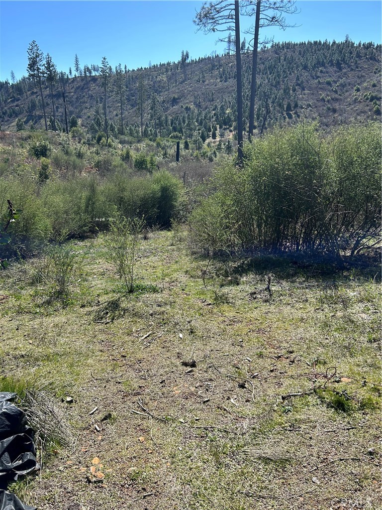 Discover this beautiful blank canvas of 1.31 acres, near Concow Reservoir! Regenerating since fire, never been built on, land was smoothed and filled. Driveway entrance started and 2 small areas carved out. Power is possible at street, buyer to investigate. Backs up to federal land. Nearby is Lake Oroville to keep cool during summers and fishing just down the road at Concow Reservoir. Build your custom home, manufactured home, yurt and beyond!