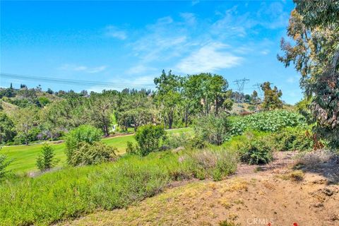 A home in Anaheim Hills