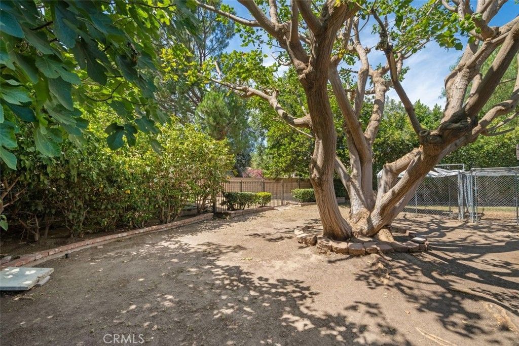 listing image 130724560193091234373