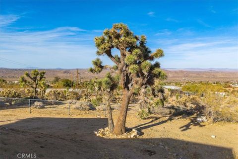 A home in Joshua Tree