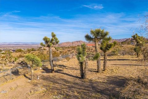 A home in Joshua Tree