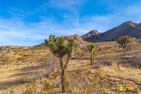 A home in Joshua Tree