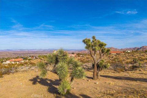 A home in Joshua Tree