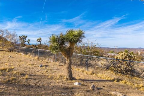 A home in Joshua Tree