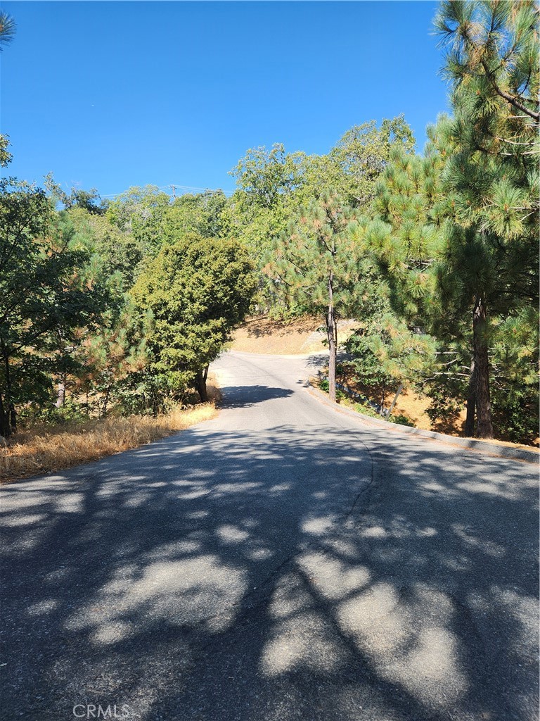 Deer Lodge Park (DLPK) - Land