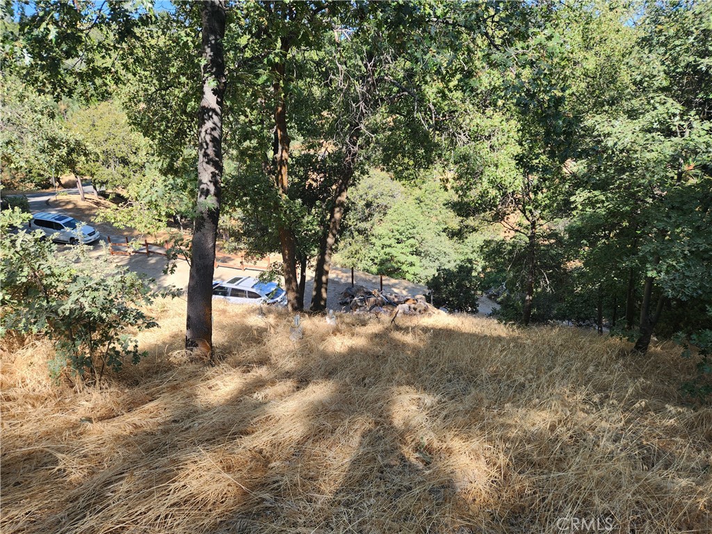 Deer Lodge Park (DLPK) - Land