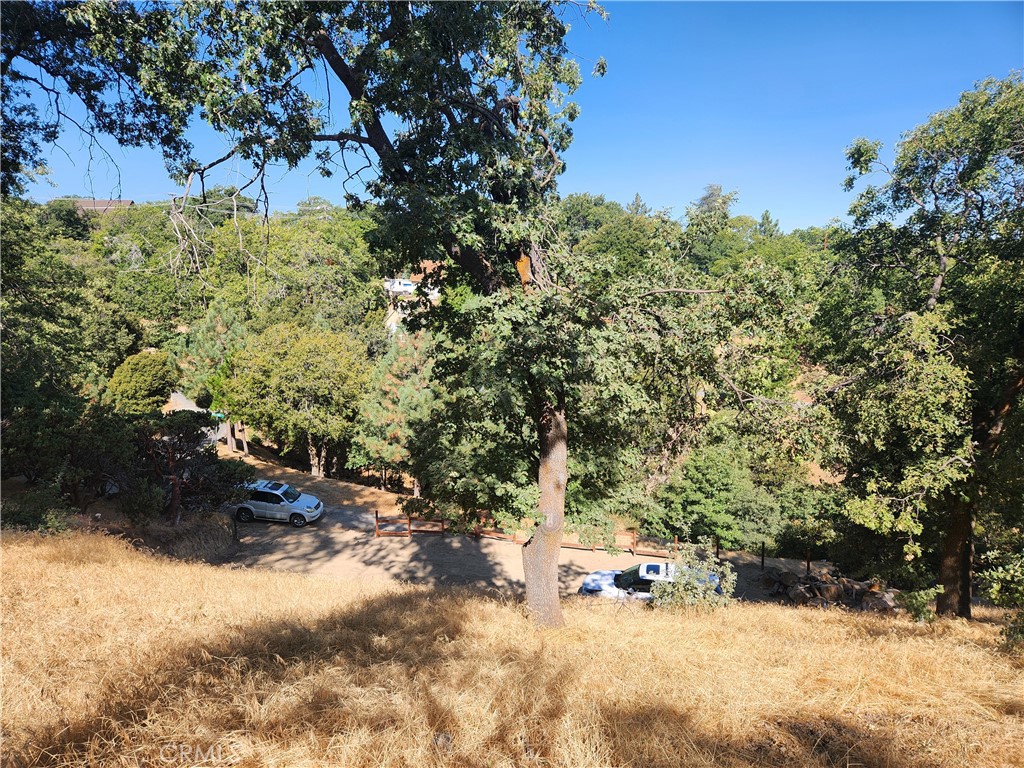 Deer Lodge Park (DLPK) - Land