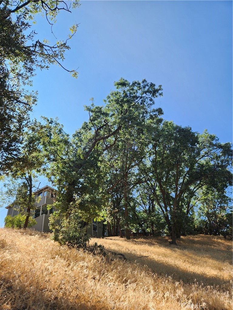 Deer Lodge Park (DLPK) - Land