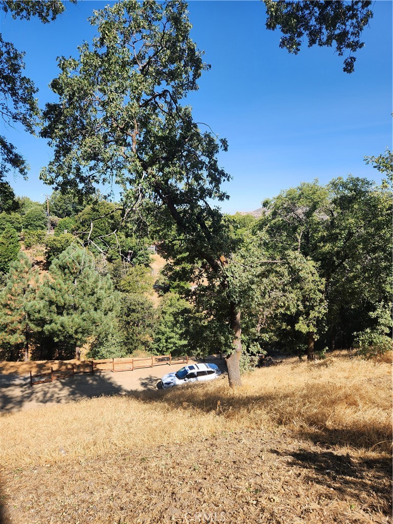 Deer Lodge Park (DLPK) - Land