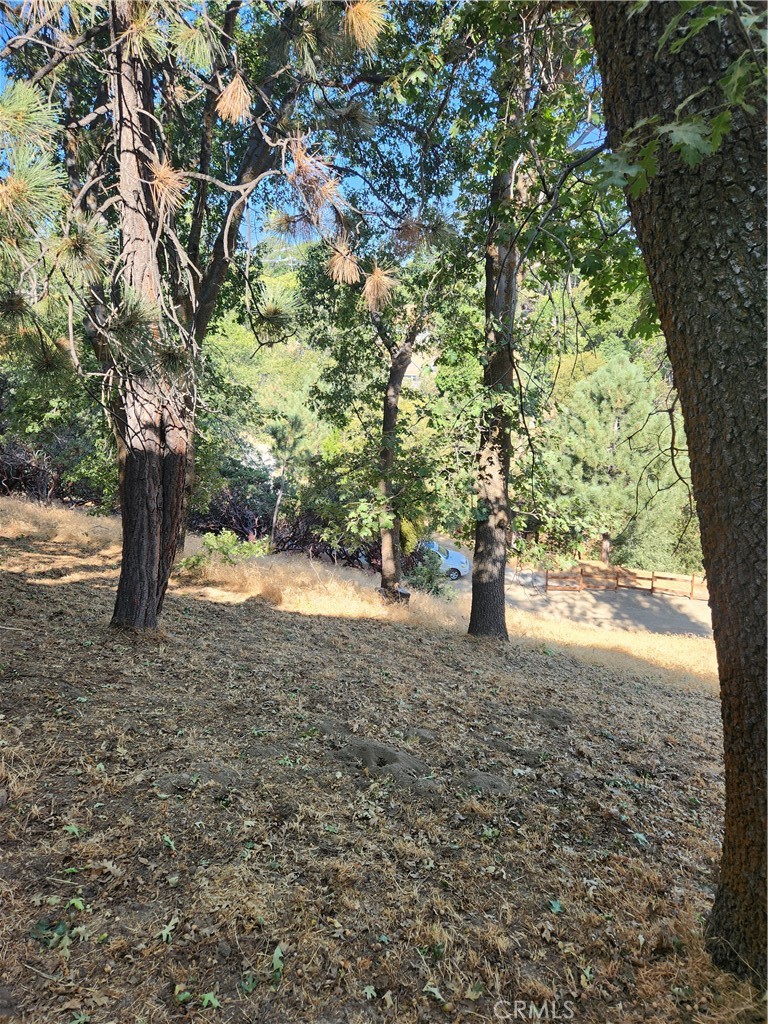 Deer Lodge Park (DLPK) - Land