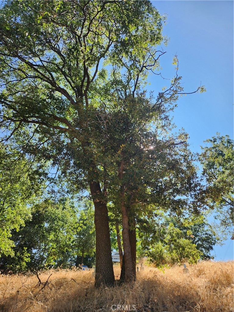 Deer Lodge Park (DLPK) - Land