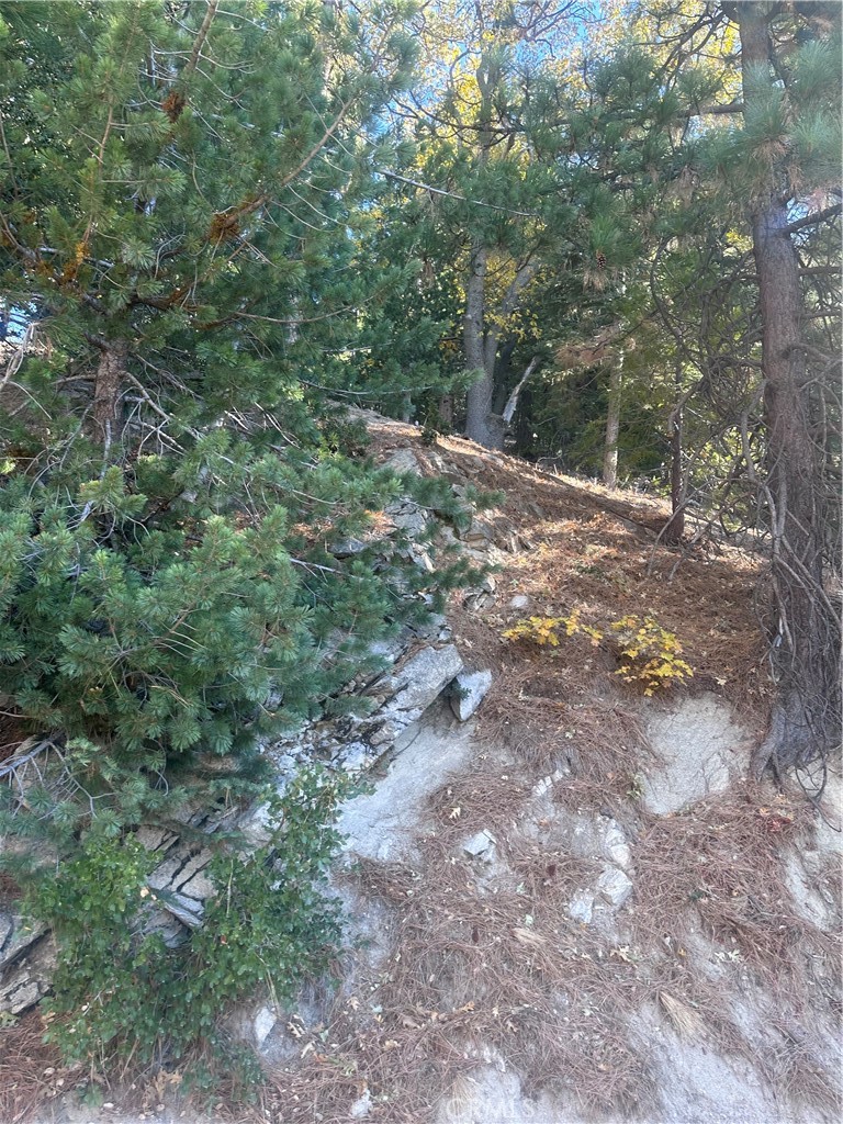 Crestline (CRES) - Land