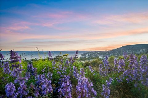 A home in Laguna Beach