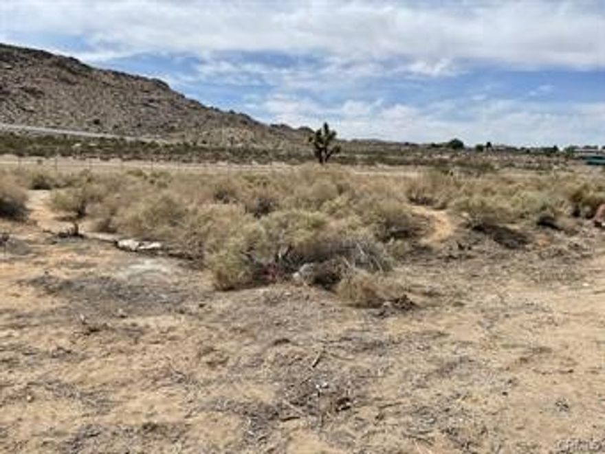 Solid Price Reduction!!  GREAT 20 Acre Land that is near Highway 247. Nice flat property ready for your new home/hobby farm etc. This is a nice parcel and owner will consider seller financing with 25% down. Lot is 1,329' on Fern and 660' deep.