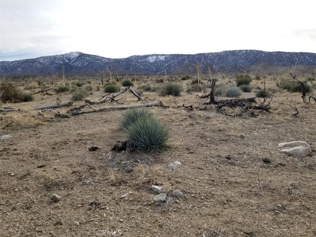 This is an incredible opportunity to own a beautiful 10 acre property in the rural and serene Antelope Valley area in Southern California. The property is far enough from everything to feel like you are in the county but still accesible to modern day amenities. The vacant land is between Palmdale and Victorville and about 40 minutes to the Valley Central Shopping Center, Antelope Valley College, Palmdale Regional Airport and the 14 Freeway in the Palmdale/Lancaster are.