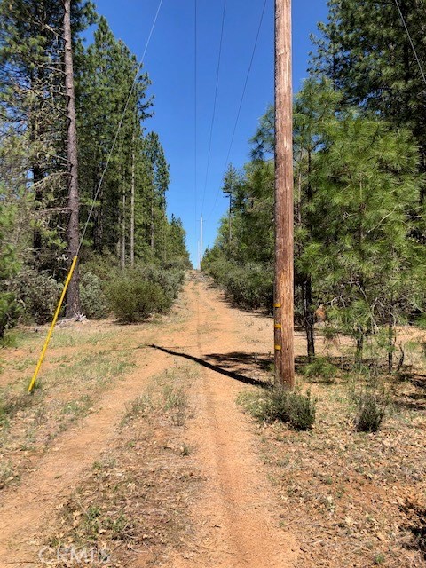 6736 Harrington Flat Road