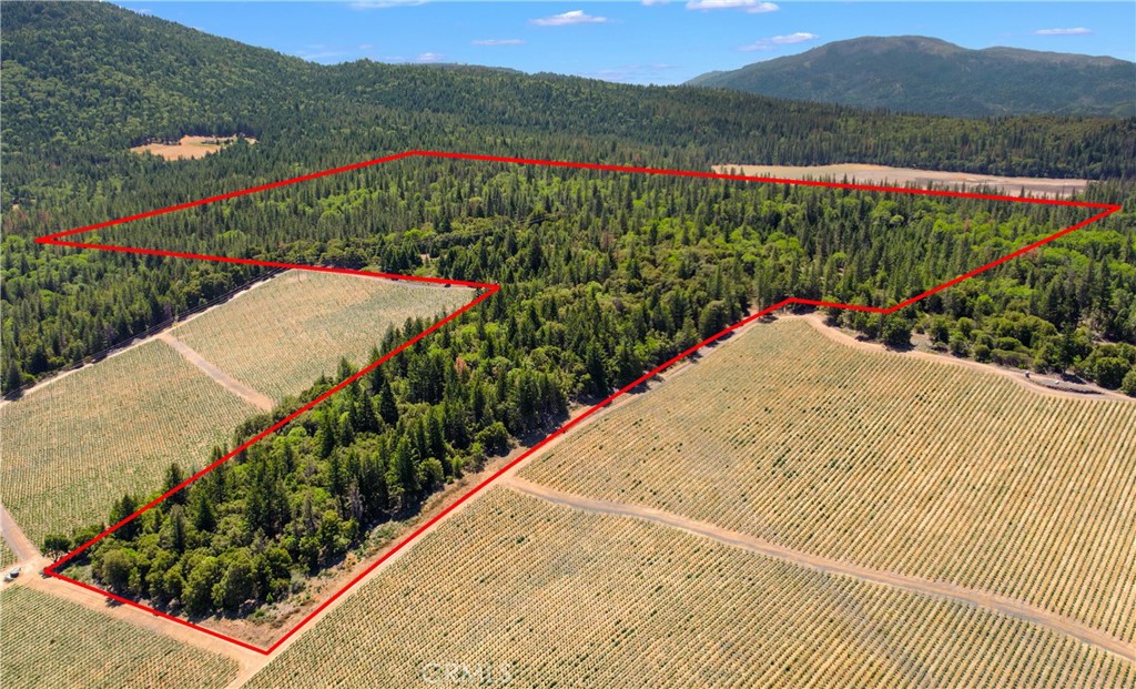 6736 Harrington Flat Road