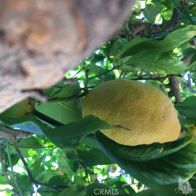 Ojai: Other - Manufactured In Park