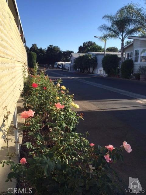 Ojai: Other - Manufactured In Park