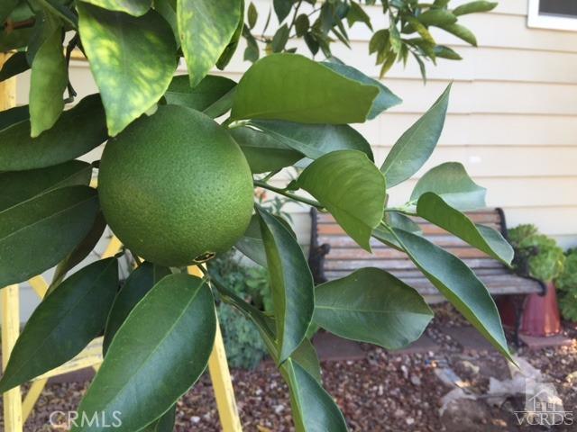 Ojai: Other - Manufactured In Park