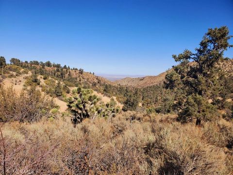 Photo of 0 Old Valley Springs Road, Wrightwood, CA 92372 (MLS # HD24168250) Photo of 0 Old Valley Springs Road, Wrightwood, CA 92372 (MLS # HD24168250)