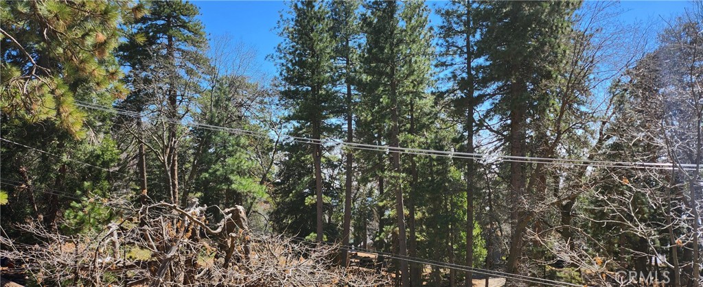 Running Springs (RUSG) - Land