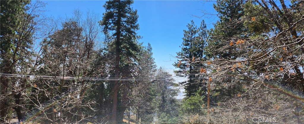 Running Springs (RUSG) - Land