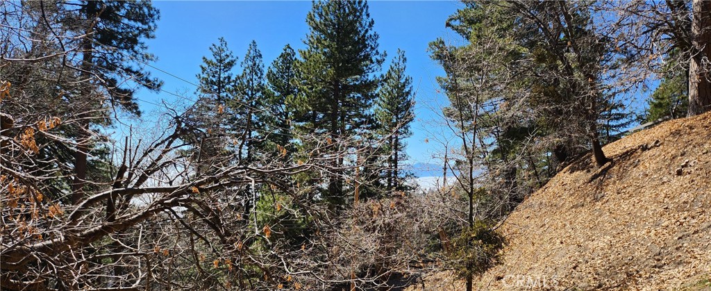 Running Springs (RUSG) - Land