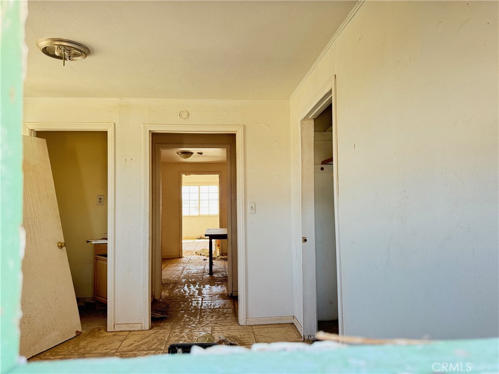 81118 Screech Owl Road