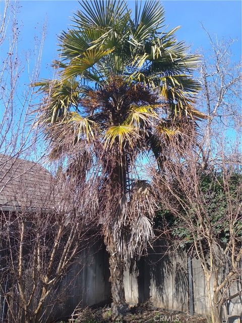 A home in Chico