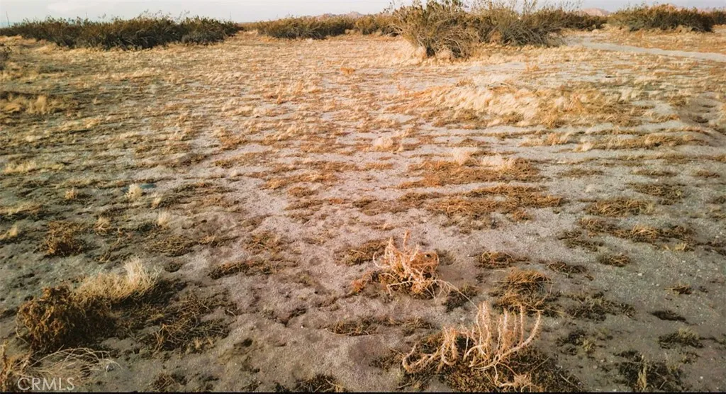 Littlerock, California 93543, United States, ,Land,Active,117610