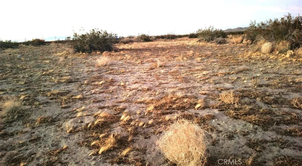 Littlerock, California 93543, United States, ,Land,Active,117610