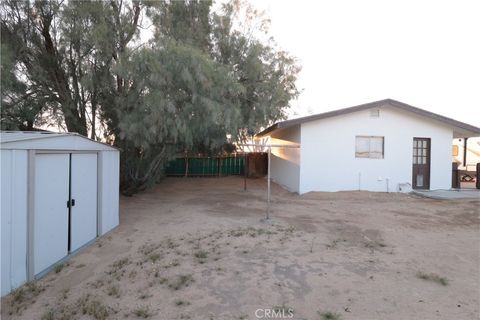 A home in Joshua Tree