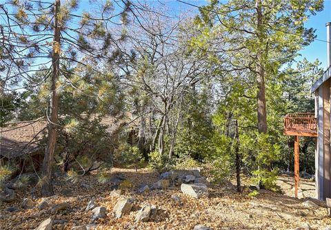 A home in Idyllwild