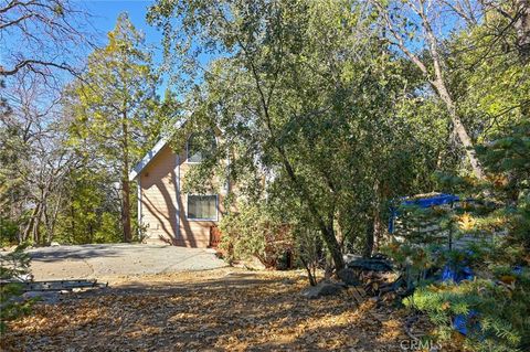 A home in Idyllwild