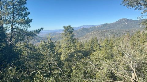 A home in Idyllwild