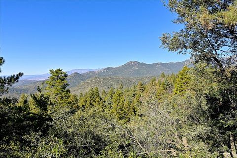 A home in Idyllwild