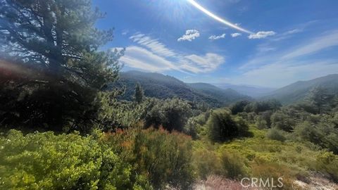 A home in Idyllwild