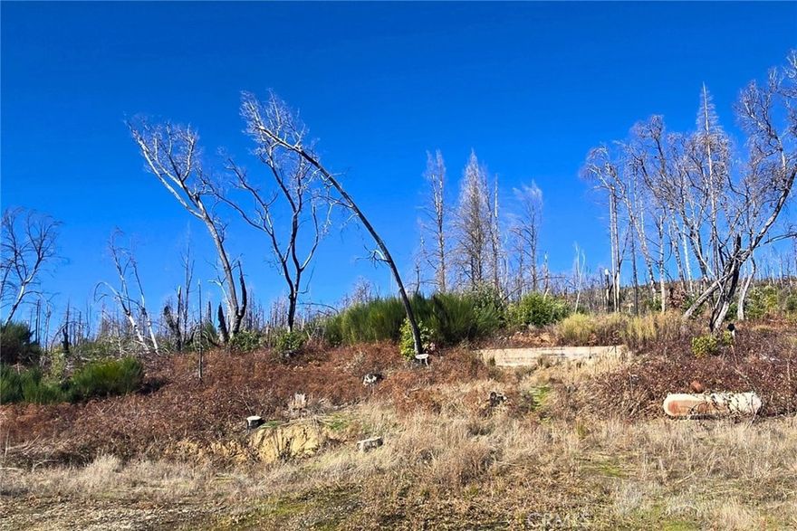 Lake Madrone Gated Community is a delightful setting for your dream retreat or year-round residence. This 0.31-acre lot offers exclusive access to the community’s private lake, where residents can enjoy boating, swimming, and festive holiday activities. For more details on the amenities and lifestyle, visit the Lake Madrone website. Please note that the area was impacted by the North Complex Fire in 2020.